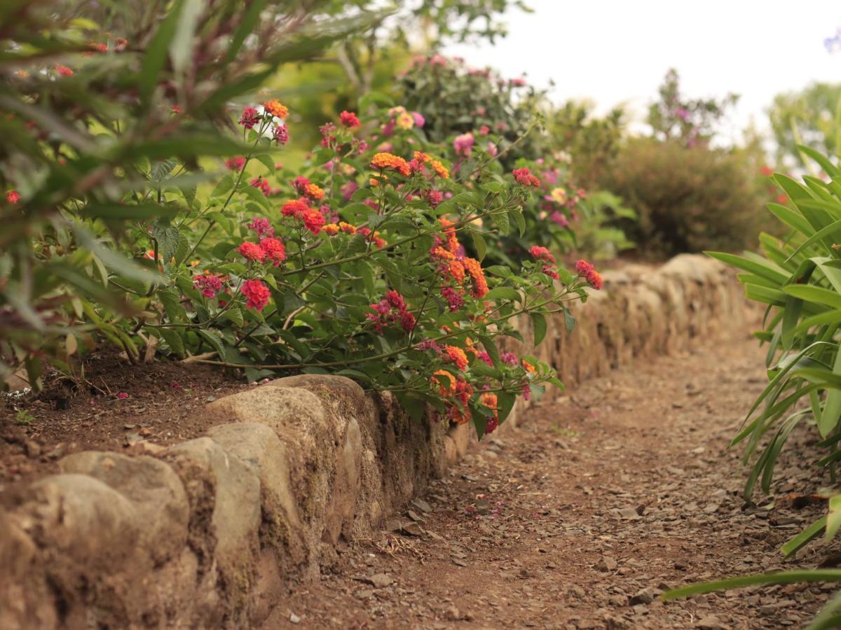 Casa Bartzis, Close To Orosi And Tapanti National Park المظهر الخارجي الصورة